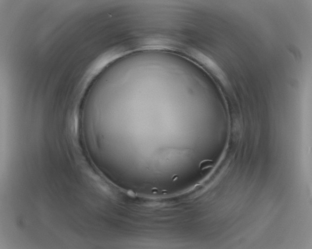 X0000114151419200910151534