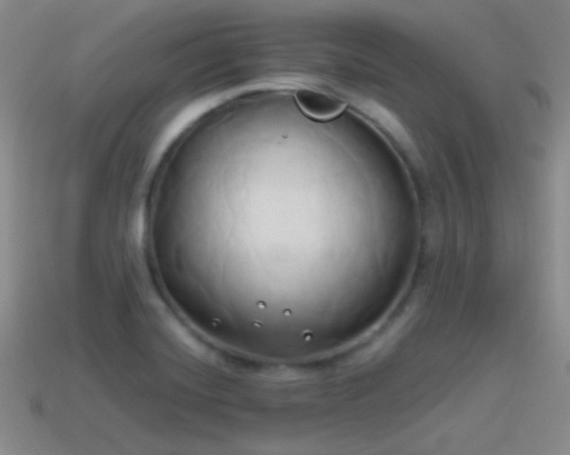 X0000114151420200910151534