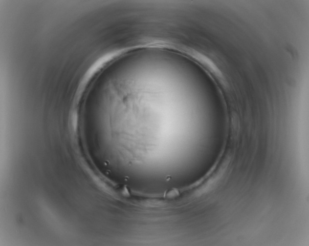 X0000114151424200910151534
