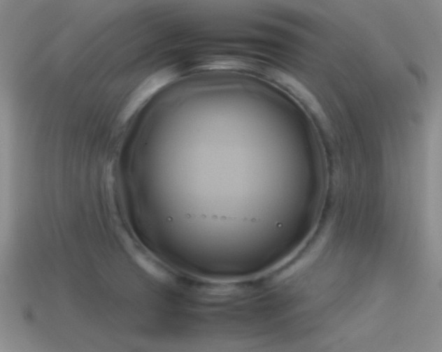 X0000114151425200910151534