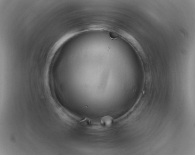 X0000114151427200910151534