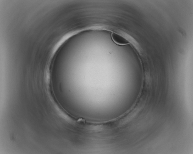 X0000114151428200910151534