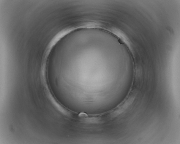 X0000114151429200910151534