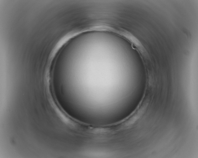 X0000114151430200910151534