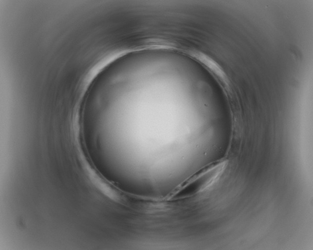 X0000114151431200910151534