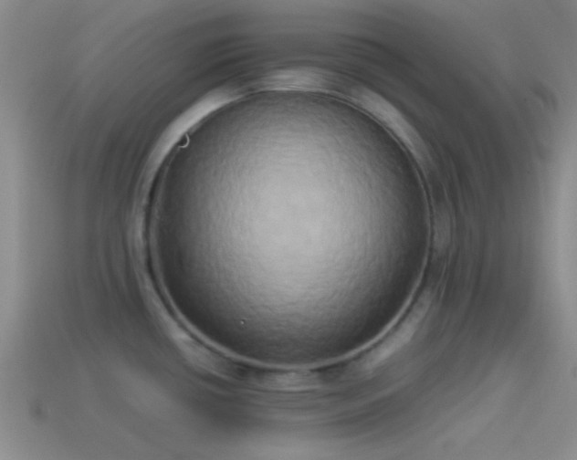 X0000114151434200910151534