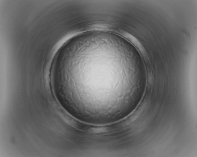 X0000114151435200910151534