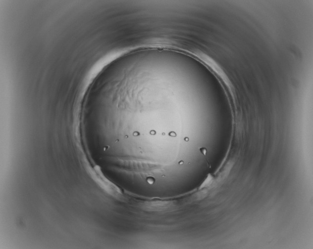 X0000114151437200910151534