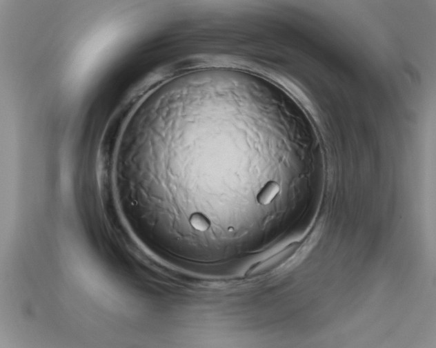 X0000114151438200910151534