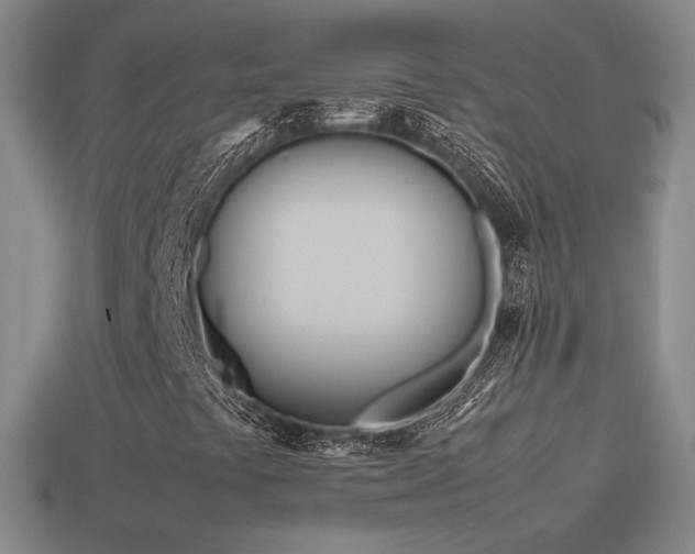 X0000114151441200910151533