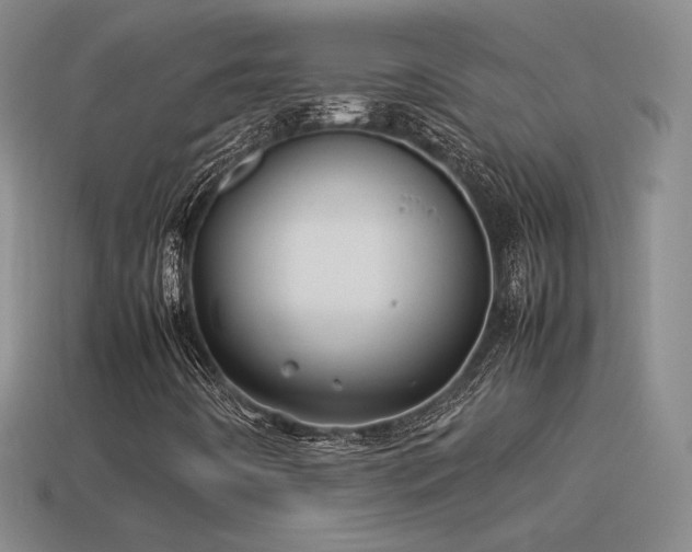 X0000114151442200910151533