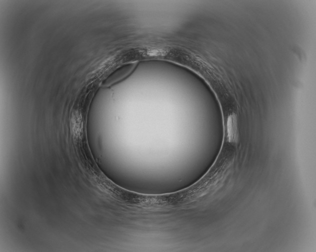 X0000114151443200910151533
