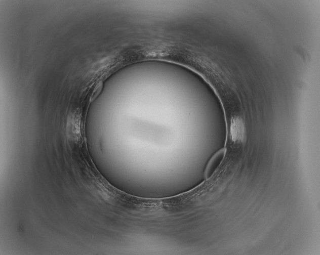 X0000114151444200910151533