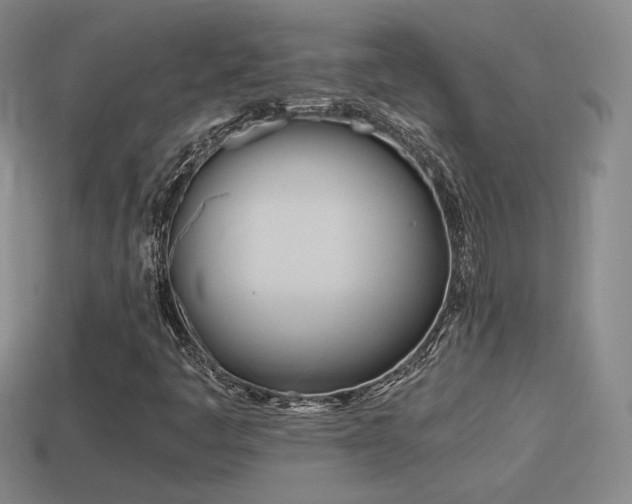 X0000114151445200910151533