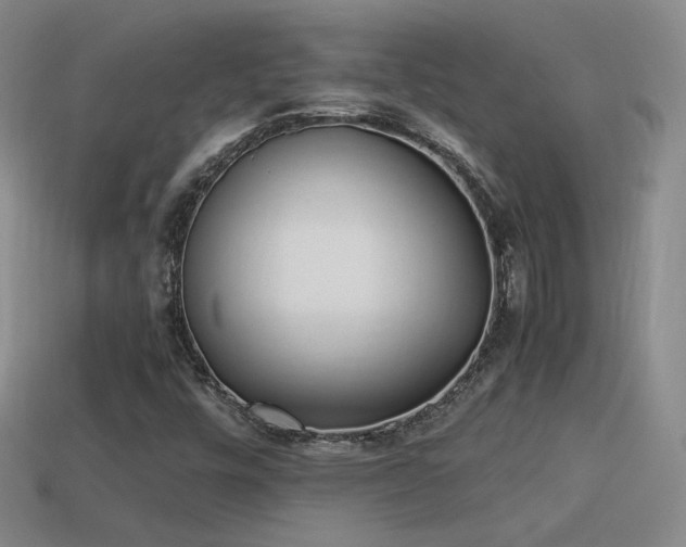 X0000114151448200910151533