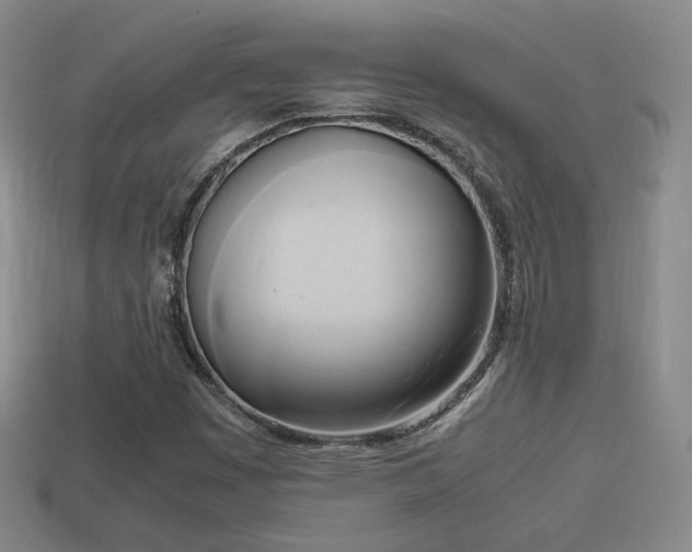 X0000114151449200910151533