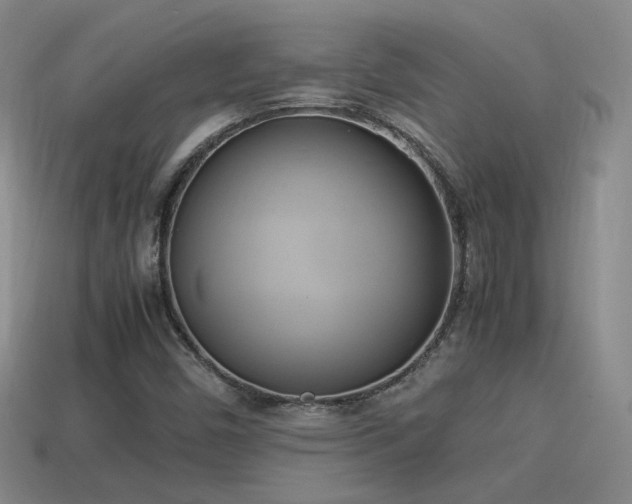 X0000114151450200910151533