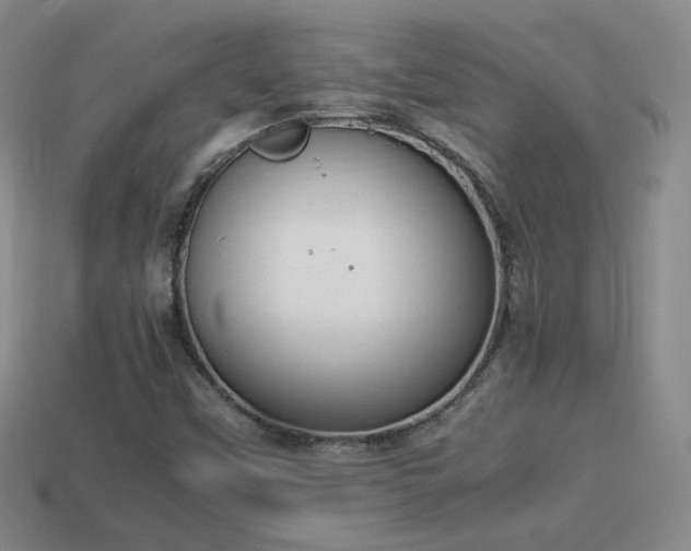 X0000114151451200910151533