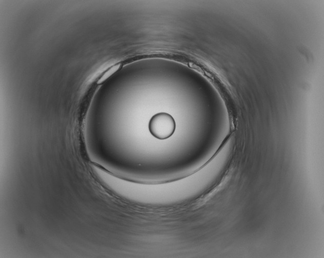 X0000114151453200910151533