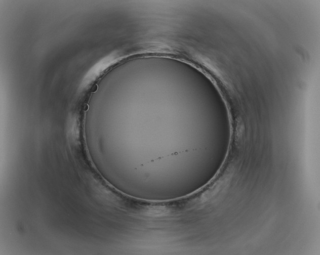 X0000114151455200910151533