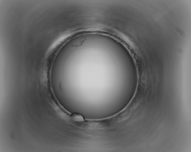 X0000114151456200910151533