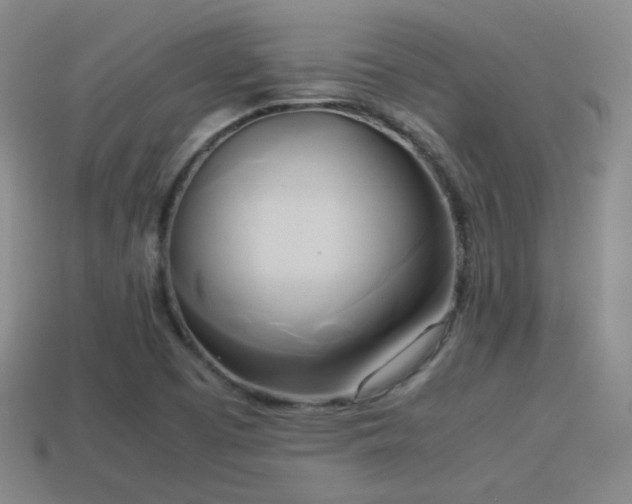 X0000114151457200910151533