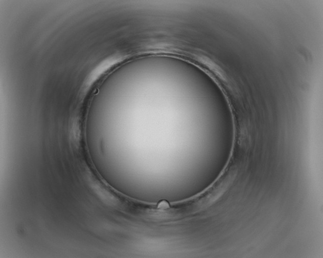 X0000114151458200910151533