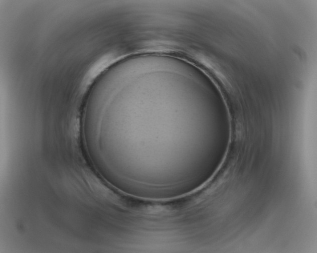 X0000114151459200910151533
