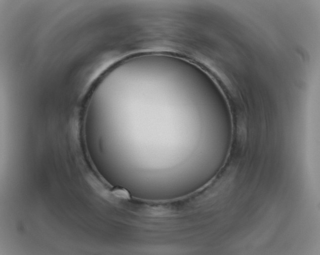 X0000114151460200910151533