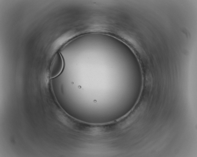 X0000114151461200910151533