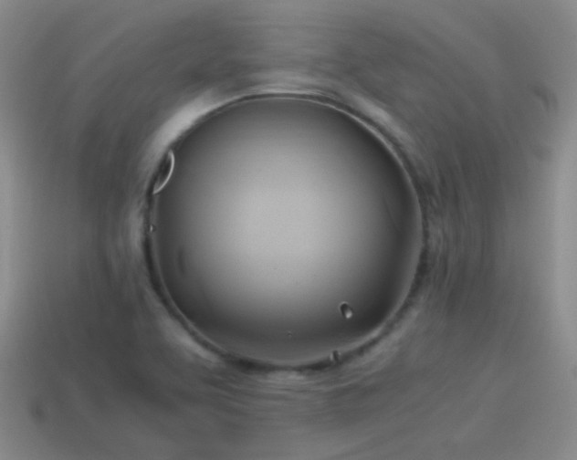 X0000114151463200910151533