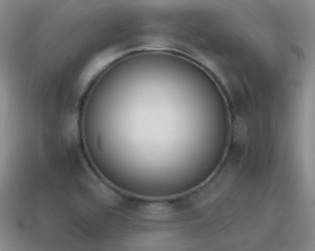 X0000114151464200910151533