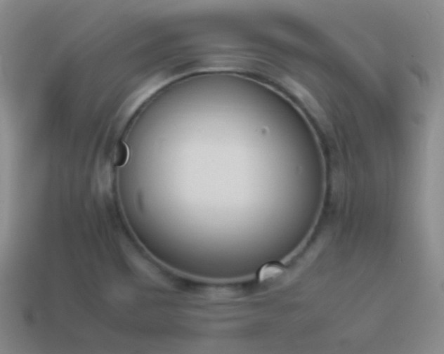 X0000114151465200910151533