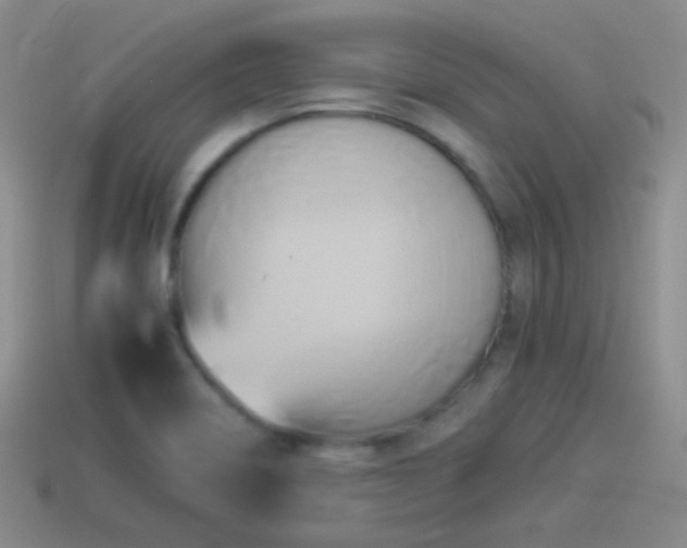 X0000114151466200910151533