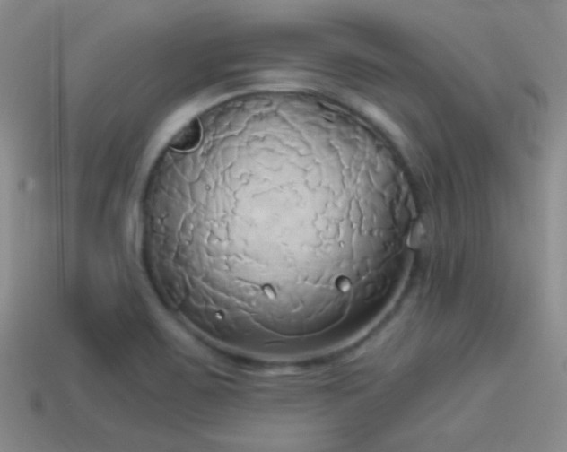 X0000114151467200910151533