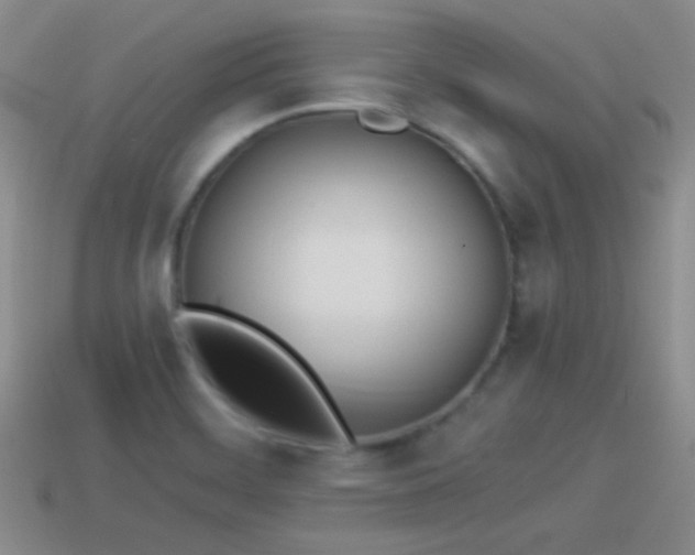 X0000114151468200910151533