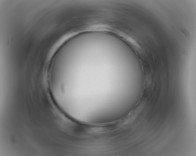 X0000114151470200910151533