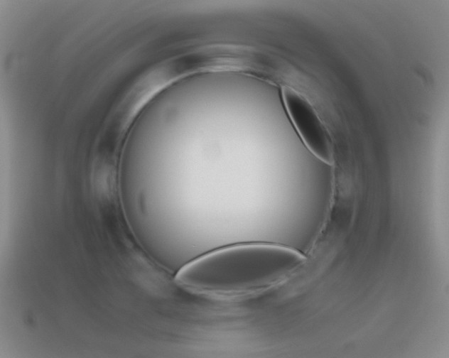 X0000114151473200910151533