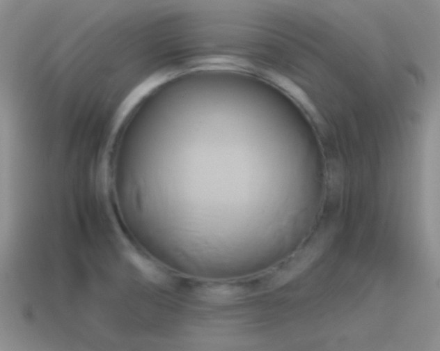 X0000114151474200910151533
