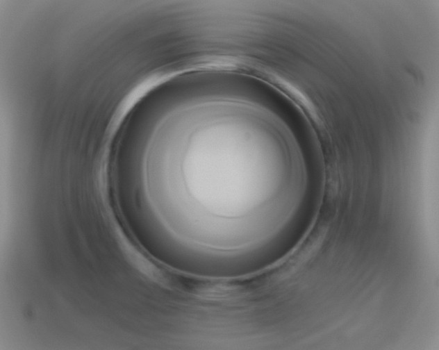 X0000114151475200910151533