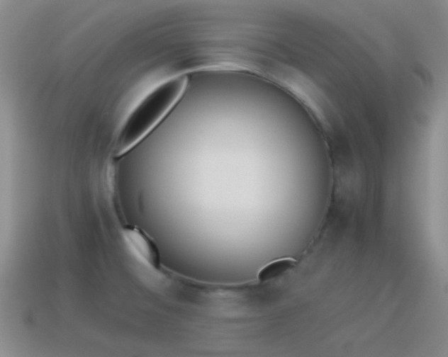 X0000114151476200910151533