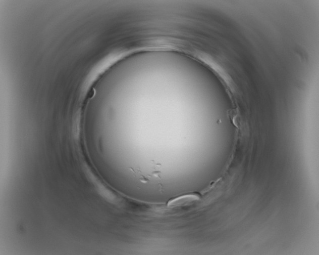 X0000114151477200910151533