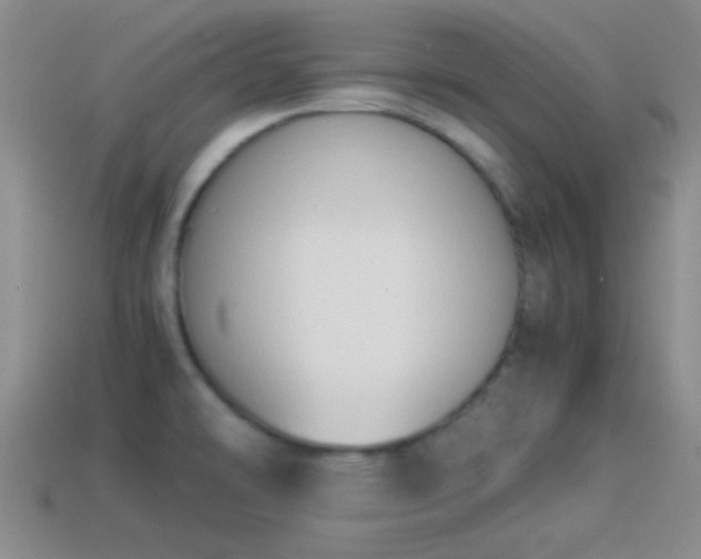 X0000114151478200910151533