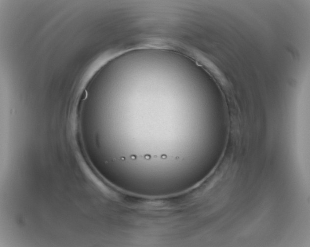 X0000114151479200910151533