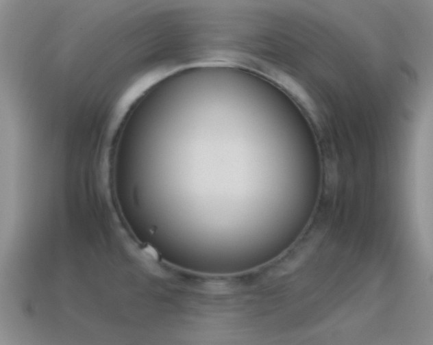X0000114151480200910151533
