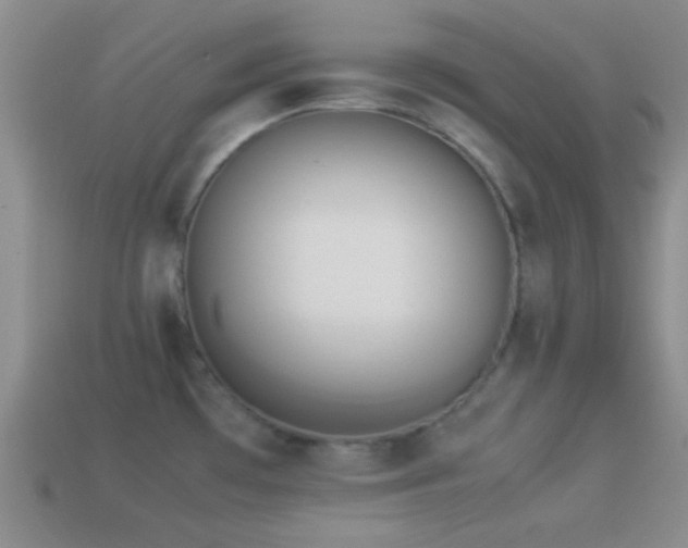 X0000114151481200910151533