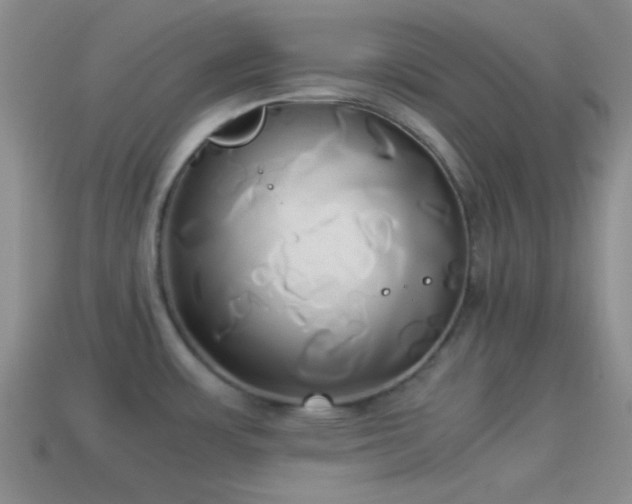 X0000114151483200910151533