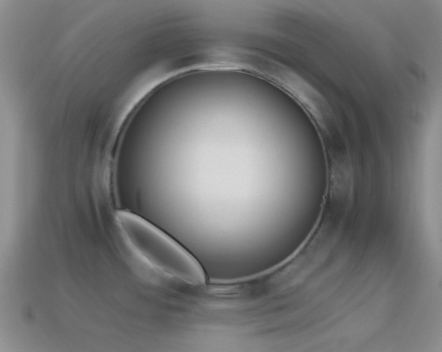 X0000114151484200910151533