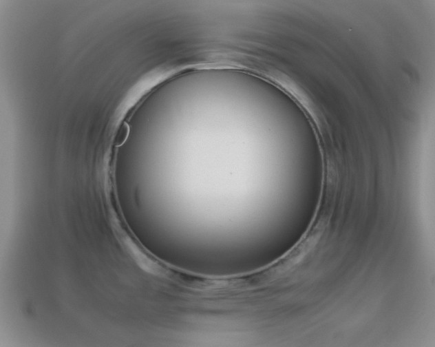 X0000114151485200910151533