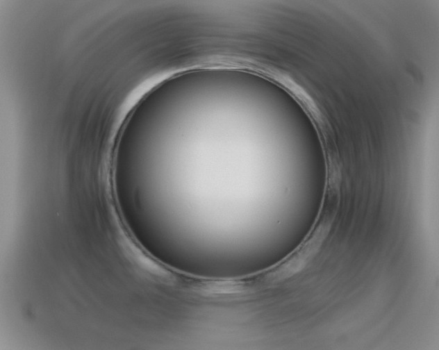 X0000114151486200910151533